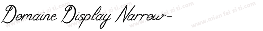 Domaine Display Narrow字体转换